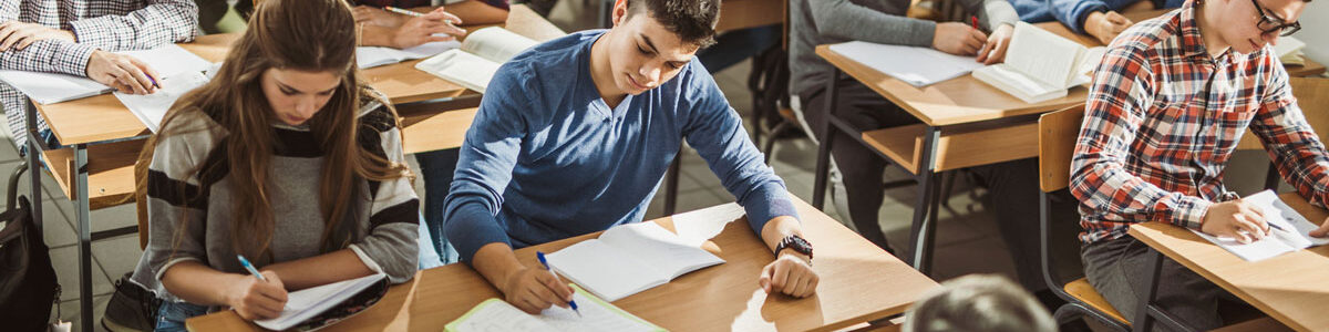 Type de formation -Enseignement supérieur